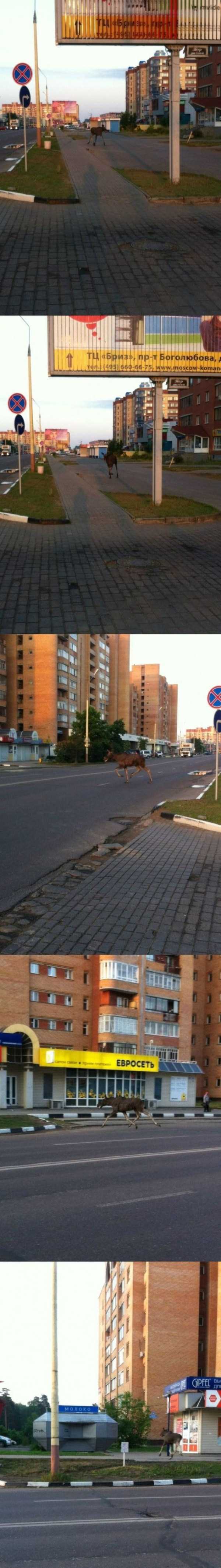 only in russia 46 1