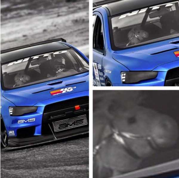 WTF Photos That Make No Sense At All (59 photos)