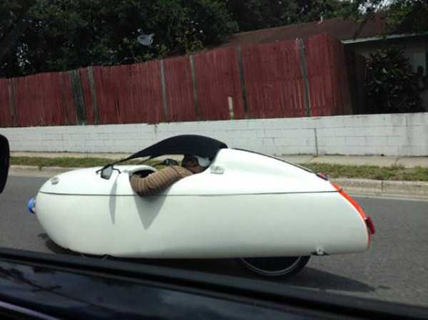 WTF Photos That Make No Sense At All (59 photos)