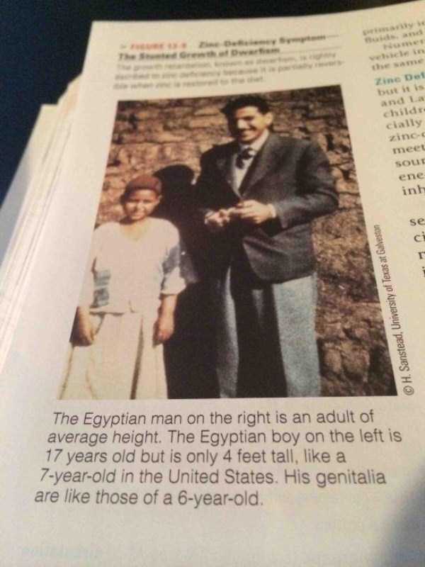 WTF Photos That Make No Sense At All (59 photos)