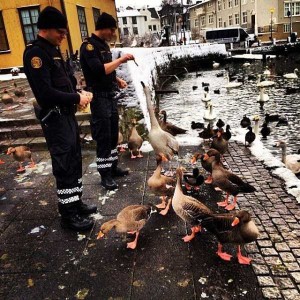 Official Instagram of Icelandic Police (29 photos) 11