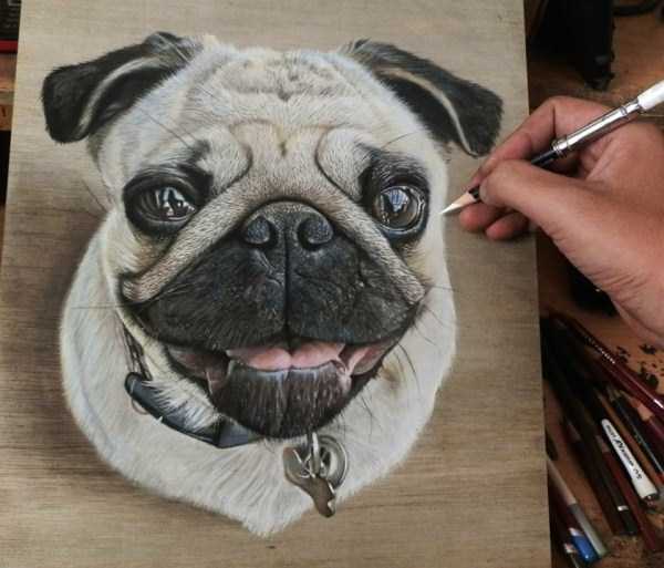 Stunning Photorealistic Drawings on Wooden Boards (31 photos)