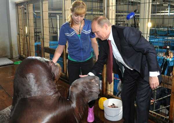 48 Interesting Photos Of Vladimir Putin (48 photos) 24