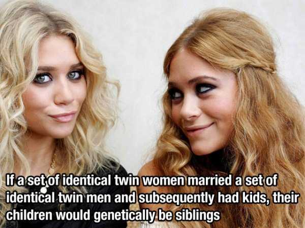 Interesting Facts You Need To Know Right Now (27 photos)
