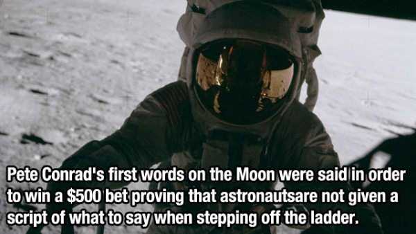 Interesting Facts You Need To Know Right Now (27 photos)
