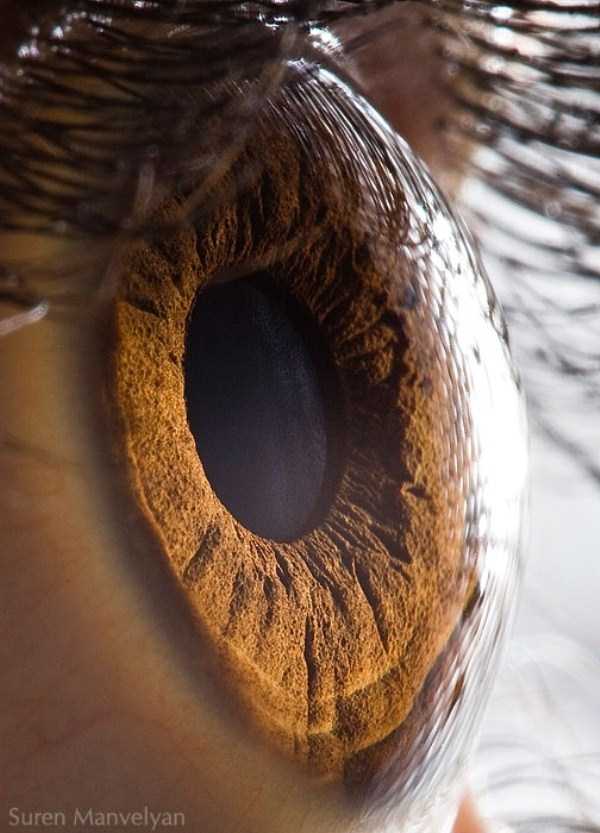 extreme close up of human eye macro suren manvelyan 1