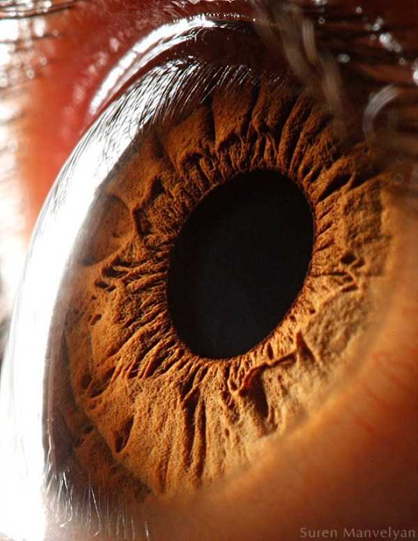extreme close up of human eye macro suren manvelyan 5