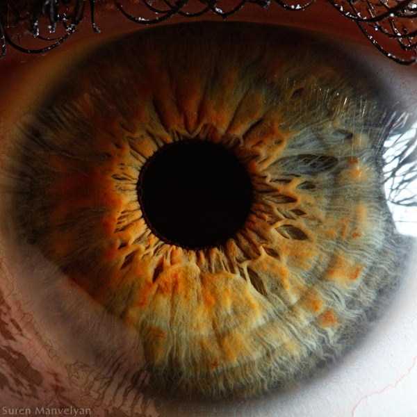 Human Eye Under a Microscope (21 photos)