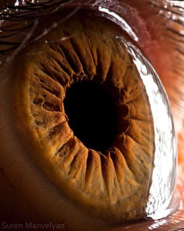 extreme close up of human eye macro suren manvelyan 7
