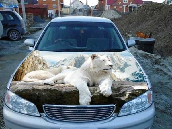 Awesomely Custom Painted Cars (58 photos)
