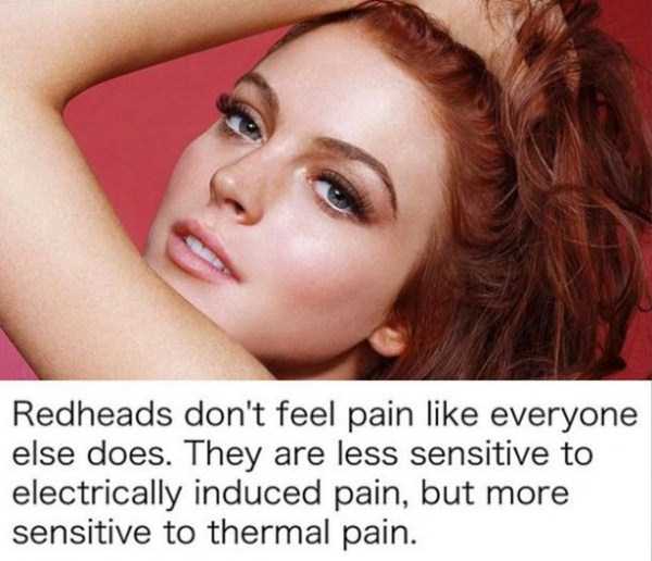 Random Facts You Might Find Amusing (21 photos)
