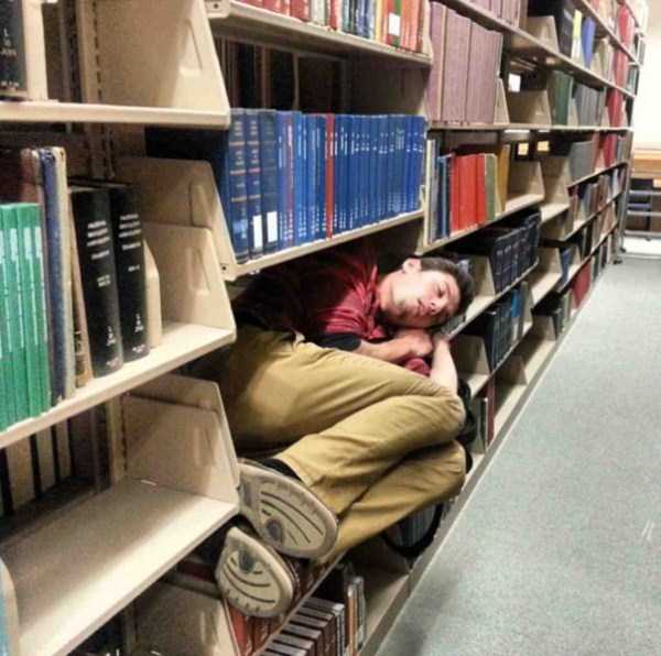 Some People Can Sleep Literraly Anywhere (43 photos)