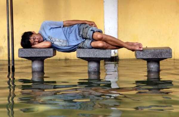 Some People Can Sleep Literraly Anywhere (43 photos)