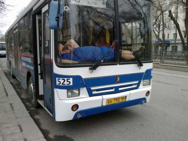 Some People Can Sleep Literraly Anywhere (43 photos)