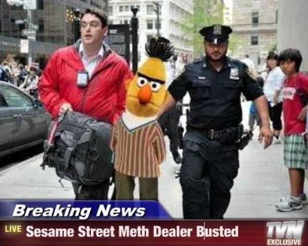 Sesame Street Gone Really Bad (23 photos)