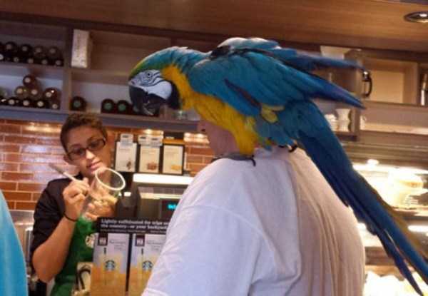 24 WTF Things Spotted at Starbucks (24 photos)