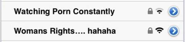 Clever and Funny Wi Fi Network Names (20 photos)
