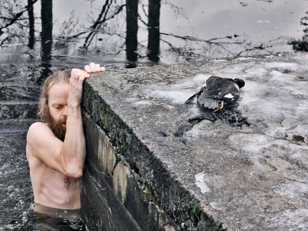 A Brave Man Risks His Life to Save a Duck From Under the Ice (4 photos)