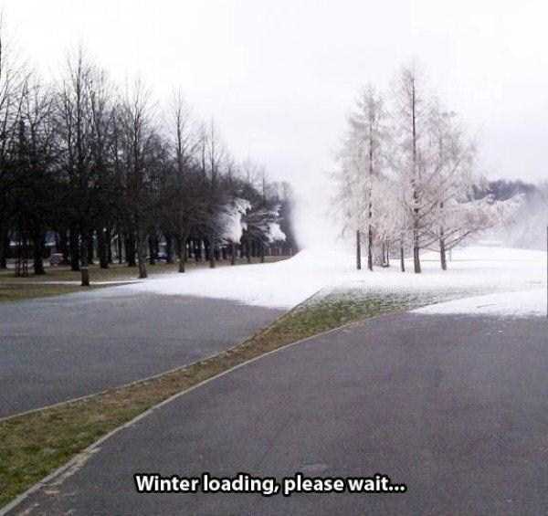 41 Reliable Signs Its Too Cold Outside (41 photos)