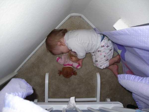 Kids Can Fall Asleep Anywhere (85 photos)