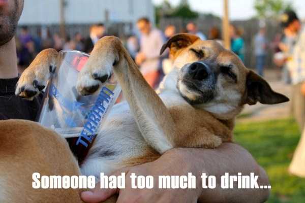 people with sense of humour 23 People With a Wacky Sense of Humor (26 photos)