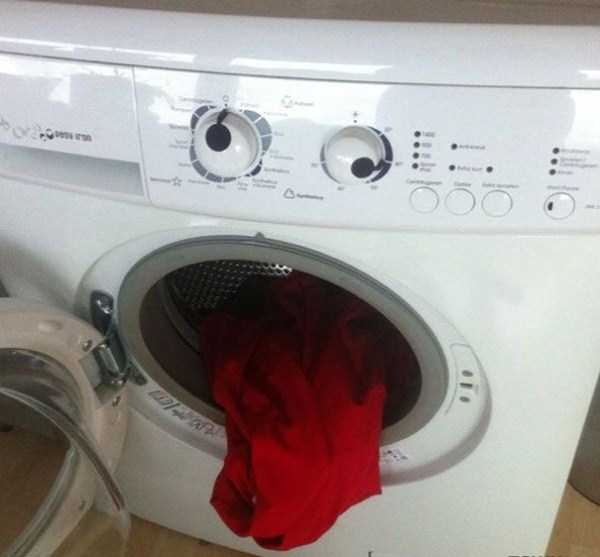 Perfectly Timed Photos (31 photos)