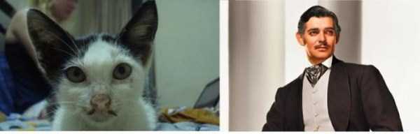 Funny and Unintentional Similarities (67 photos)