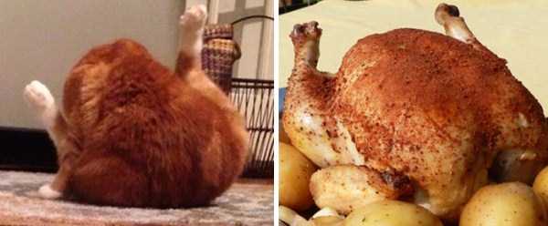 Funny and Unintentional Similarities (67 photos) 55