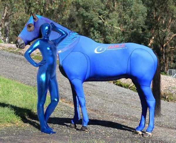 Internet Weirdness at its Finest (54 photos)