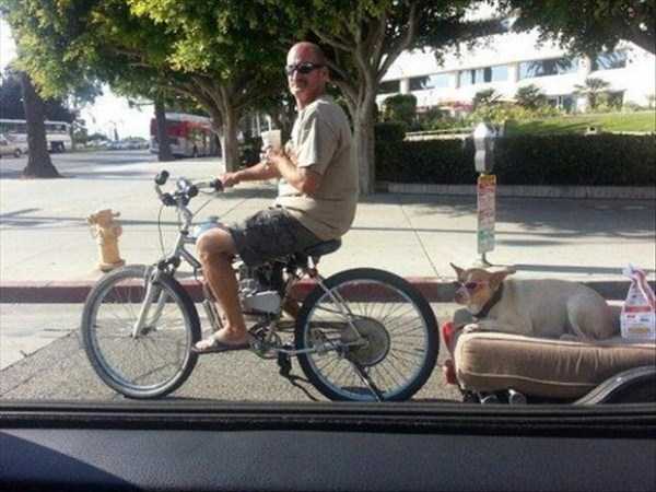 Internet Weirdness at its Finest (54 photos)