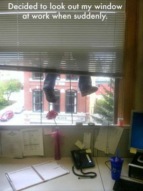 Internet Weirdness at its Finest (54 photos)