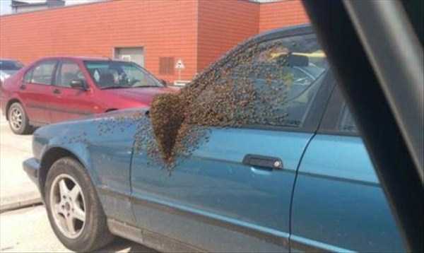 Internet Weirdness at its Finest (54 photos)