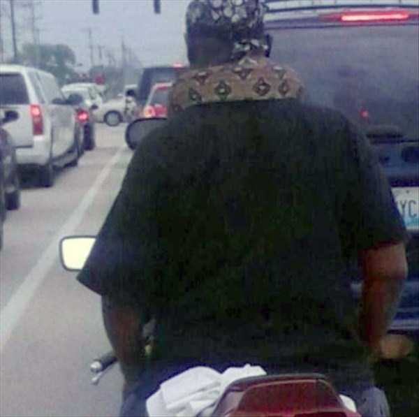 Internet Weirdness at its Finest (54 photos)