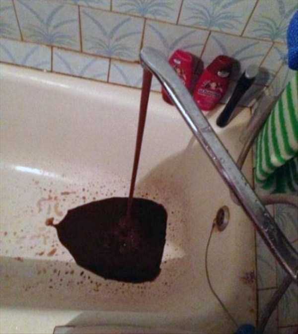 Internet Weirdness at its Finest (54 photos)