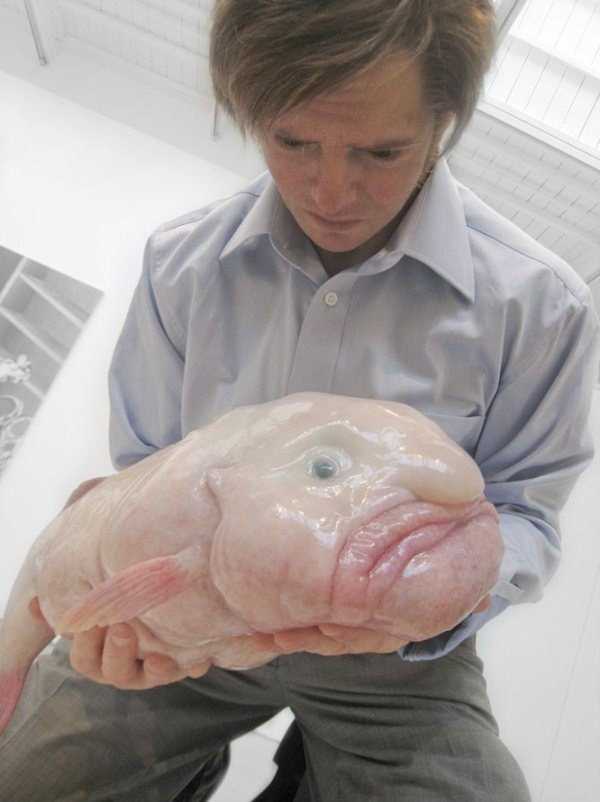 wtf weird pictures 6 You Just Cant Explain These WTF Photos (34 photos)