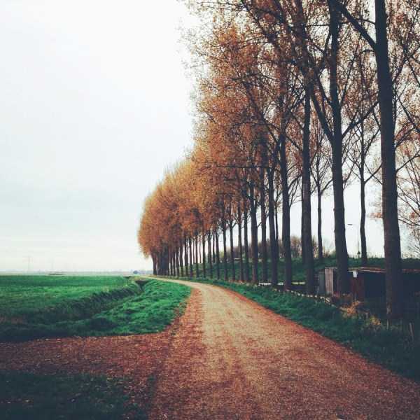 45 Awesome Landscape Photos Taken With an iPhone (45 photos)