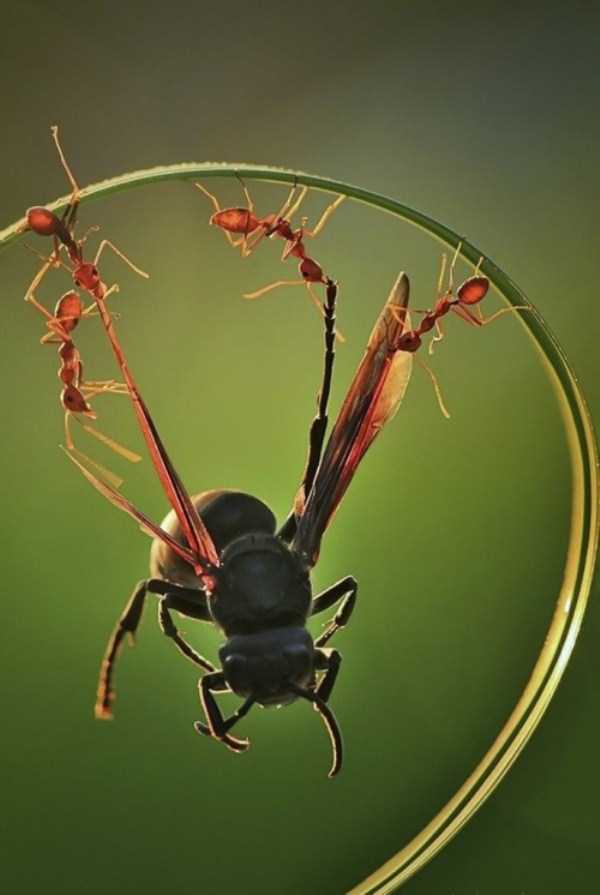 wtf photos 25 31 Photos Packed With Weirdness (31 photos)