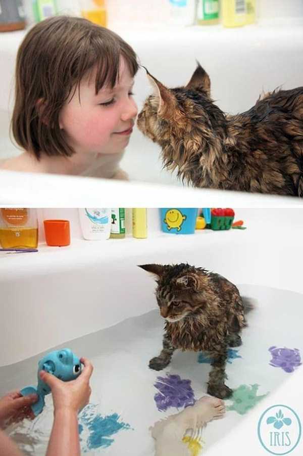 Some Cats Actually Enjoy the Water (33 photos)