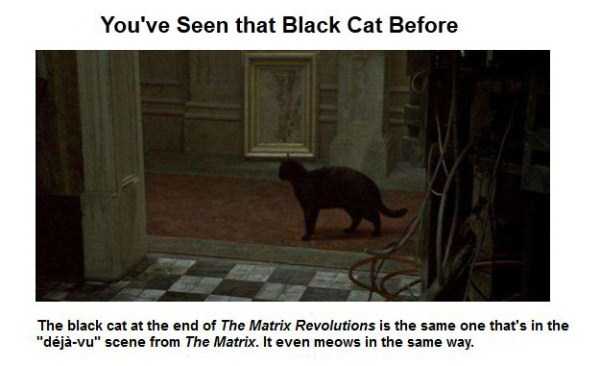 Interesting Things You Might Not Have Known About The Matrix (50 photos)