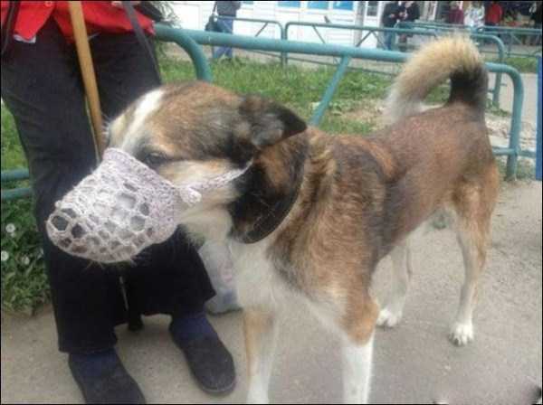 Well Yes, This is Russia (44 photos)