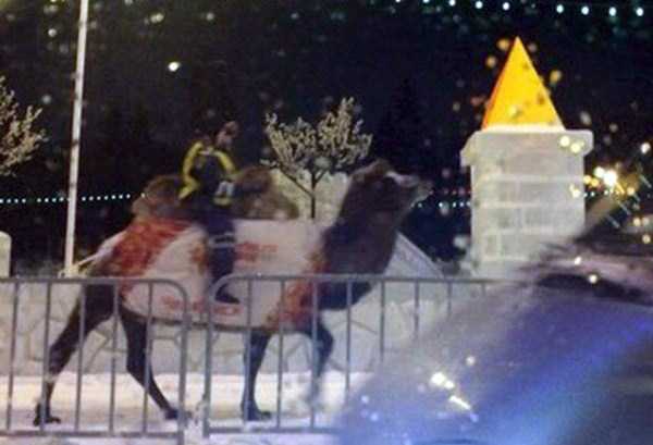 Well Yes, This is Russia (44 photos)