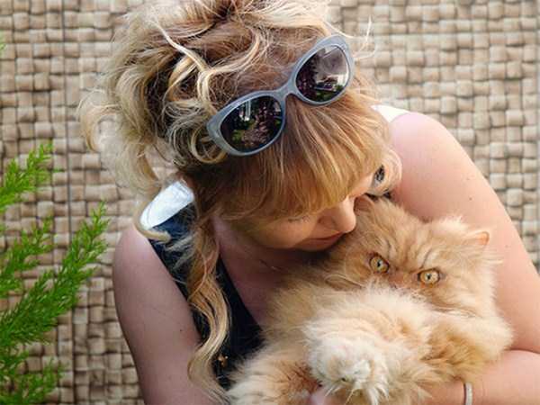 Evil Looking Cats Who Secretly Want You Dead (35 photos)