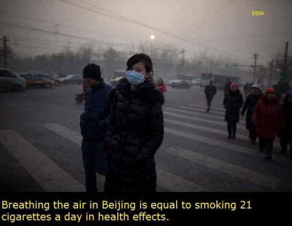 Insane Facts About China (28 photos)