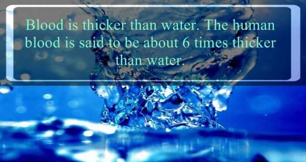facts about water 2