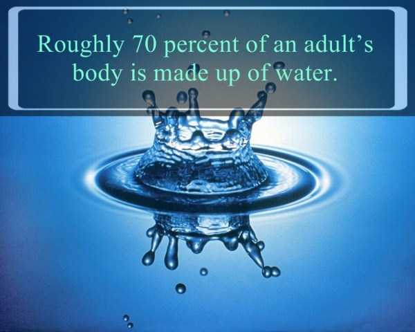 facts about water 6