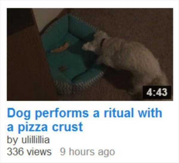 funny news headlines 20 Unintentionally Awkward News Headlines (21 photos)