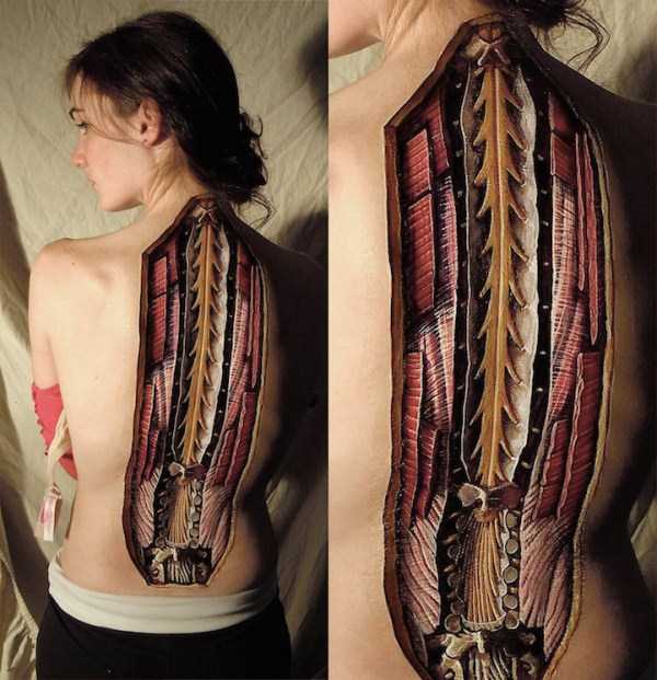 Awesomely Realistic Anatomical Paintings (13 photos)