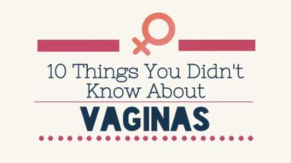 Fascinating Facts About Vagina (12 photos)