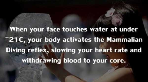 human body facts 11 20 Facts Worth Knowing About Our Bodies (20 photos)