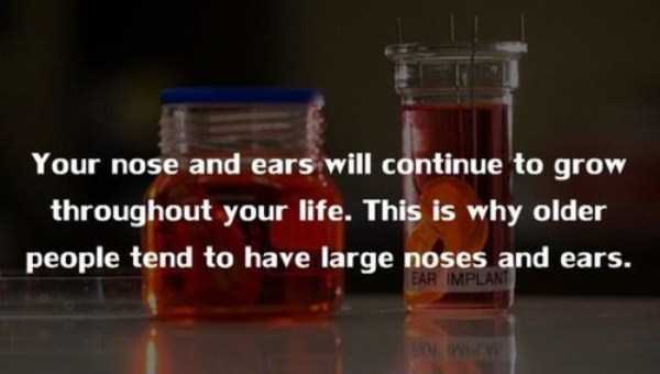 human body facts 14 20 Facts Worth Knowing About Our Bodies (20 photos)